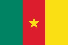 flag of the Republic of Cameroon