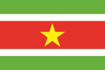flag of  Surinames