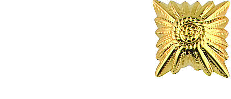 Metal badges for shoulder epaulettes - star