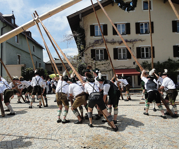 Maibau aufstellen mit Muskelkraft