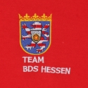 embroidered crest with writing on a polo shirt