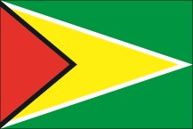 Landesfahne Guyana