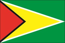 country flag of Guyana