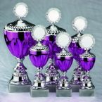 purple goblet set in six different sizes