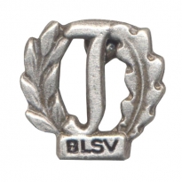 pin BLSV in antique silver